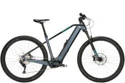 Bulls Sonic Evo 1 29” 750Wh 2022