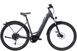 Bulls Cross Flyer Evo 2022