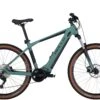 Bulls Copperhead EVO 1 29” 625 WH 2022