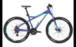 Bulls Zarena 1 27,5 2019