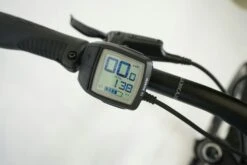 Bulls Aminga Eva 2 2022 -Bulls G9owmabCZn8frIzdikUIMo3Vk