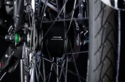 Bulls Lacuba-Evo Lite 5-Gang 2019 -Bulls Inter5