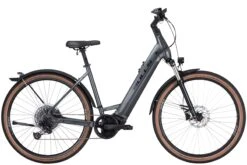 Bulls Cross Rider EVO 2 750 Wave 2022