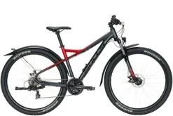 Bulls Sharptail Street 3 29 2021