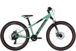 Bulls Tokee Disc 24” 2022