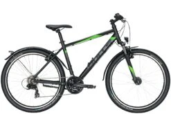 Bulls Wildtail Street Diamant 2021