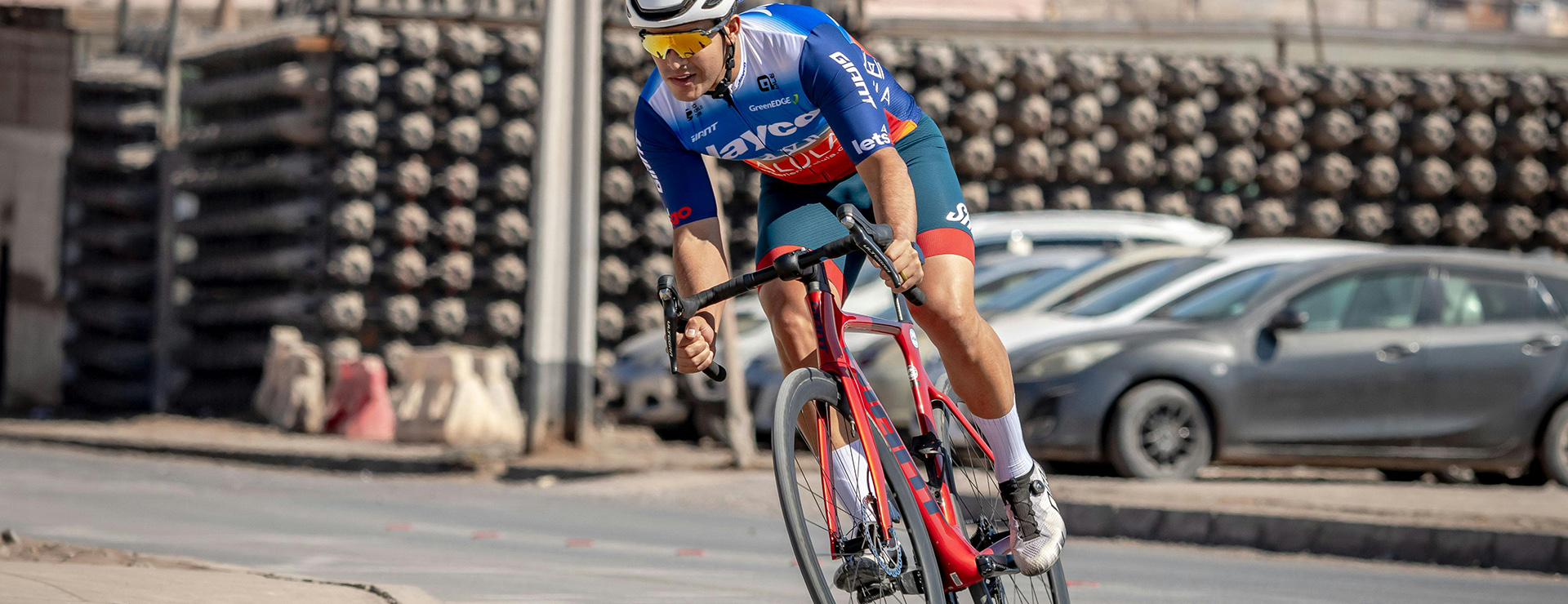 Bulls -Bulls pexels cotelo 25853495